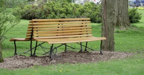 Empty park bench in summer Vídeos de archivo 79577580