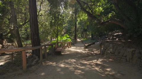 An empty park bench on a trail, surrounded by lush greenery and trees Stock Footage 319353187