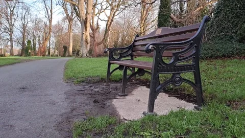 Empty Park Bench Trees Morning Sunlight Stock Footage 263885922