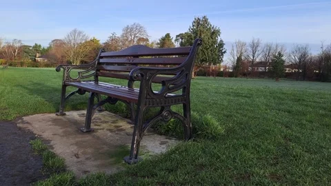 Empty Park Bench Trees Morning Sunlight Stock Footage 263885971