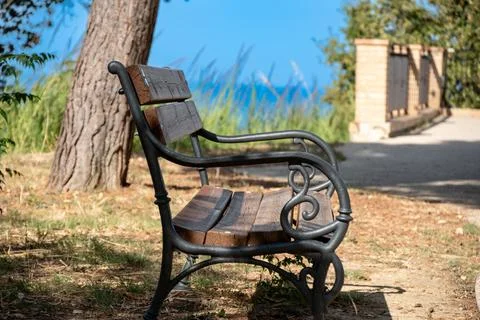 Empty Park Bench Under Tree by Coastal Path 库存照片