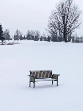 Empty Park Bench in Vast Snow Covered Field on Overcast Winter Day 스톡 사진