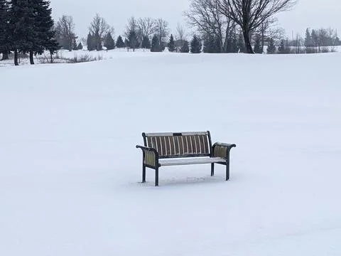 Empty Park Bench in Vast Snow Covered Field on Overcast Winter Day Stockfoto's