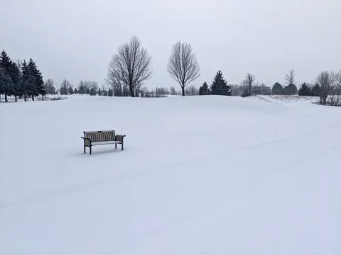 Empty Park Bench in Vast Snow Covered Field on Overcast Winter Day 스톡 사진