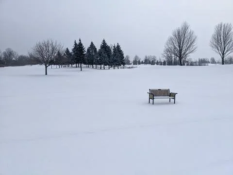 Empty Park Bench in Vast Snow Covered Field on Overcast Winter Day Fotos Stock