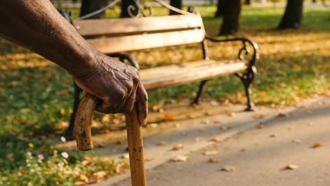 Empty Park Bench with Walking Cane – Aging, Loneliness and Memory Concept Фото