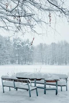 Empty Park Benches Covered with Thick Snow in Winter Landscape Stock Photos