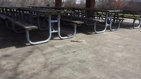 Empty park benches tables on a spring fall day, 4k. Stock Footage 115273375