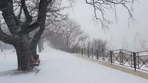 Empty park covered with snow Stock Footage 143139967