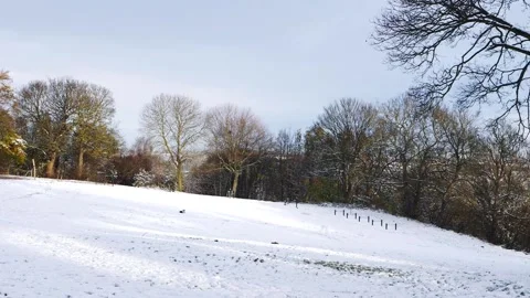 Empty park covered in winter snow Stock Footage 166113741
