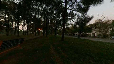 The Empty Park in Evening With Silent Trees Stock Footage 172647114