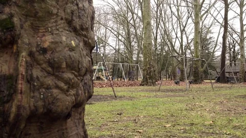 Empty park on over cast day Stock Footage 71898602