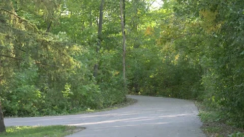 Empty park path with calm wind in summer. Stock Footage 140220347