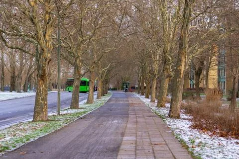 Empty park pathway with bare trees and patches of snow in late autumn Stock Photos