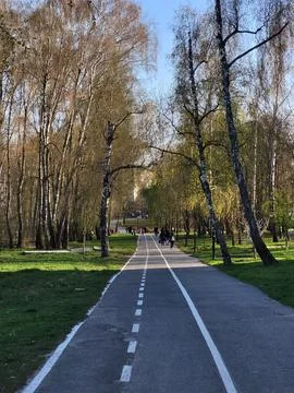 Empty Park Pathway Lined With Trees in Spring Stock Photos