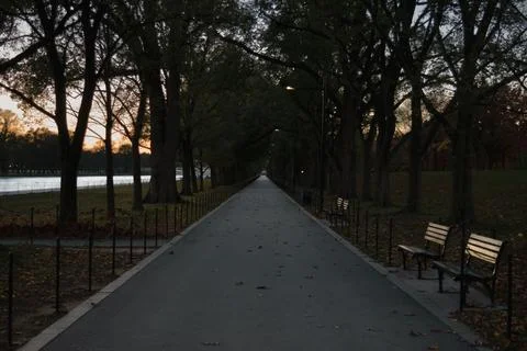 Empty park pathway at sunset Stock Photos