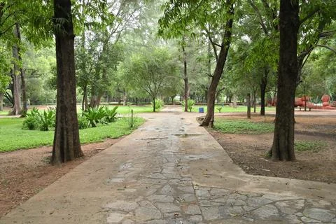 Empty park pathway through lush green trees after rain in tranquil natural .. Fotos Stock
