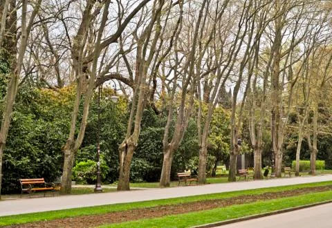 Empty park Stock Photos