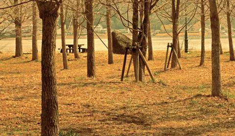Empty park Stock Photos