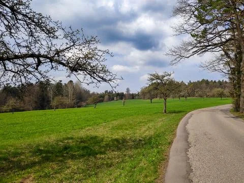 Empty Park Road Scene Fotos Stock