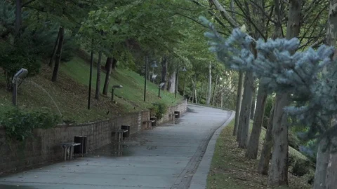 An empty park road with a sprinkler, trees and falling leaves (ungraded) Stock Footage 120555790