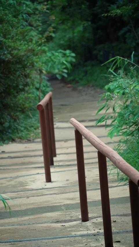 Empty park stairs with handrails leading into a green forest Vidéo 345781816