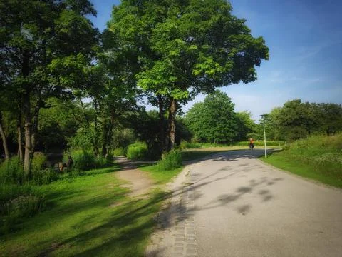 Empty Park Under Greenery and Blue Sky 写真素材