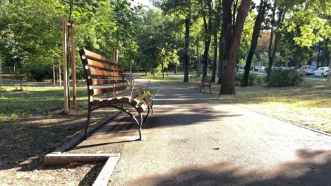 Empty park walkway with wooden benches among mature trees. Stock Footage 342994271
