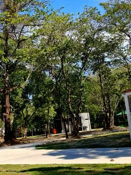 Empty park on a weekday Stock Photos