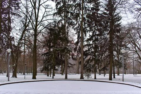 Empty park in winter Stock Photos