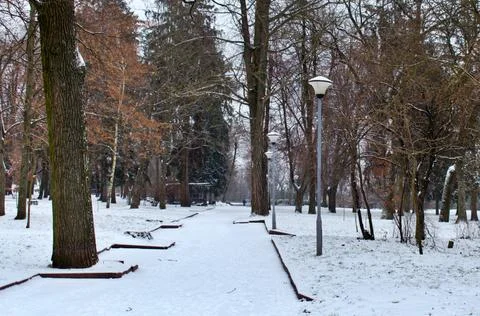 Empty park in winter Foto stock