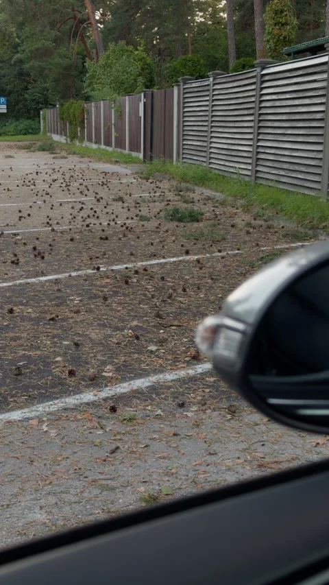 Empty parking area beside privacy fence seen from car interior with side mirror Stock Footage 344970639