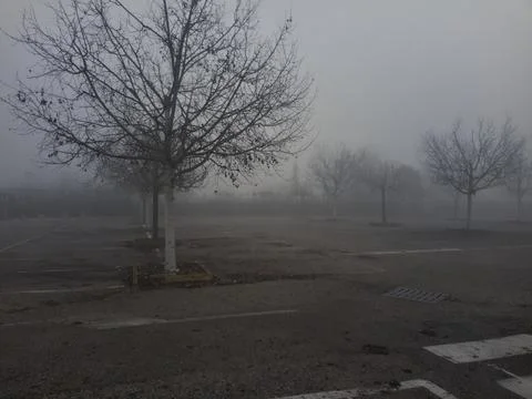 Empty parking lot with bare trees bordered by a fence on a foggy day Stock Photos