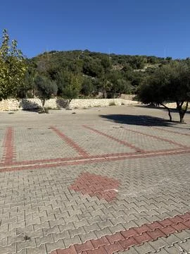 Empty parking lot with interlocking brick pavement and trees in sunny lands.. Stock Photos