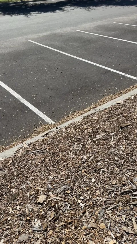 Empty parking lot with white painted lines in bright California light Stock Footage 320315862