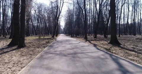 Empty parkway Stock Footage 74397904