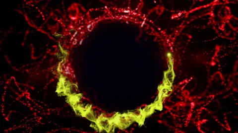 Empty Particles Background Stock Footage 33402409