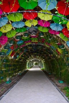 An empty path among the flowers Foto stock