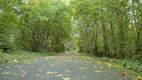 Empty Path in Beautiful Green Park in Autumn/Spring  Stock-Footage 132865618