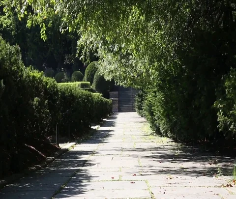 Empty path in central park conservancy Stock Footage