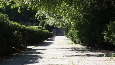 Empty path in central park conservancy Stock Footage 141957119