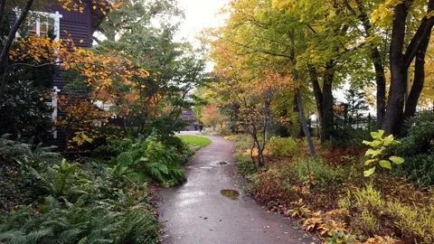 Empty path next to residential building ... | Stock Video | Pond5