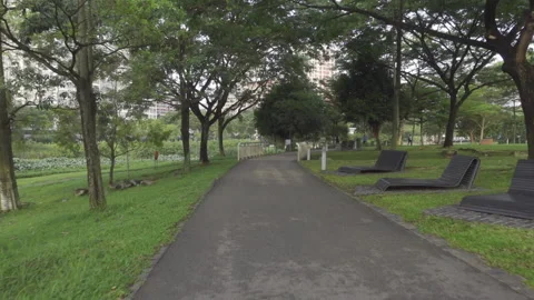 Empty path in park singapore dolly forward move fast Stock Footage 188607707