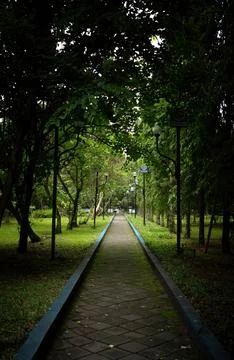 Empty path in a park with trees, for walking and running. Stock Photos