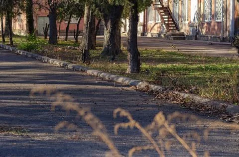 An empty path in a spring park. An old red building in the background. Daytim Fotos de archivo