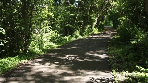Empty path surrounded by forest trees with bright and dark spots from sun Stock Footage 246132628