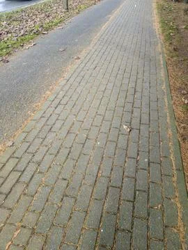 An empty pathway made of cobblestones is lined with fallen leaves, showcasing Stock Photos