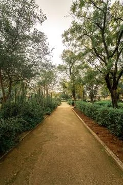 Empty pathway in a public park Stock Photos
