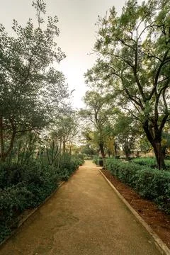 Empty pathway in a public park Stock Photos