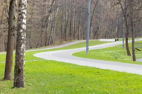 Empty paved bike path in summer park Stock Photos